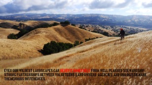 13-wildland stewardship